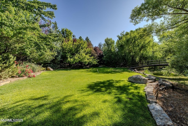 2680 Olive Pl, Reno, NV 89511 - photo 23