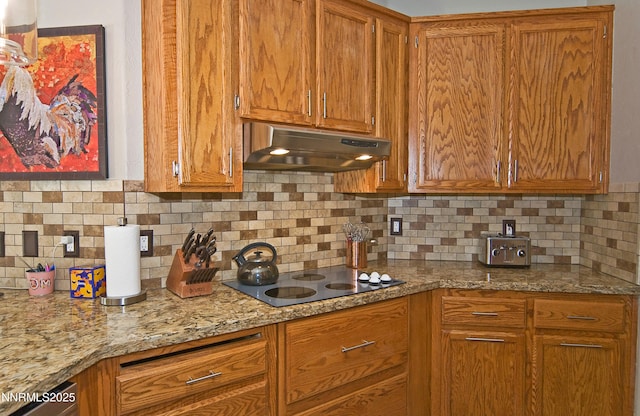 1026 Meritage Ct, Carson City, NV 89703 - photo 16