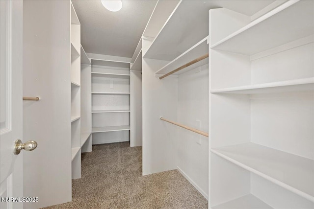 7339 Warhol Dr, Sun Valley, NV 89433 - photo 20