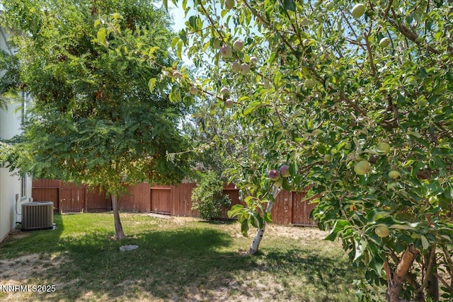 7339 Warhol Dr, Sun Valley, NV 89433 - photo 36