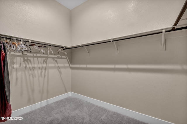 2250 Copper Brand Dr, Reno, NV 89521 - photo 26