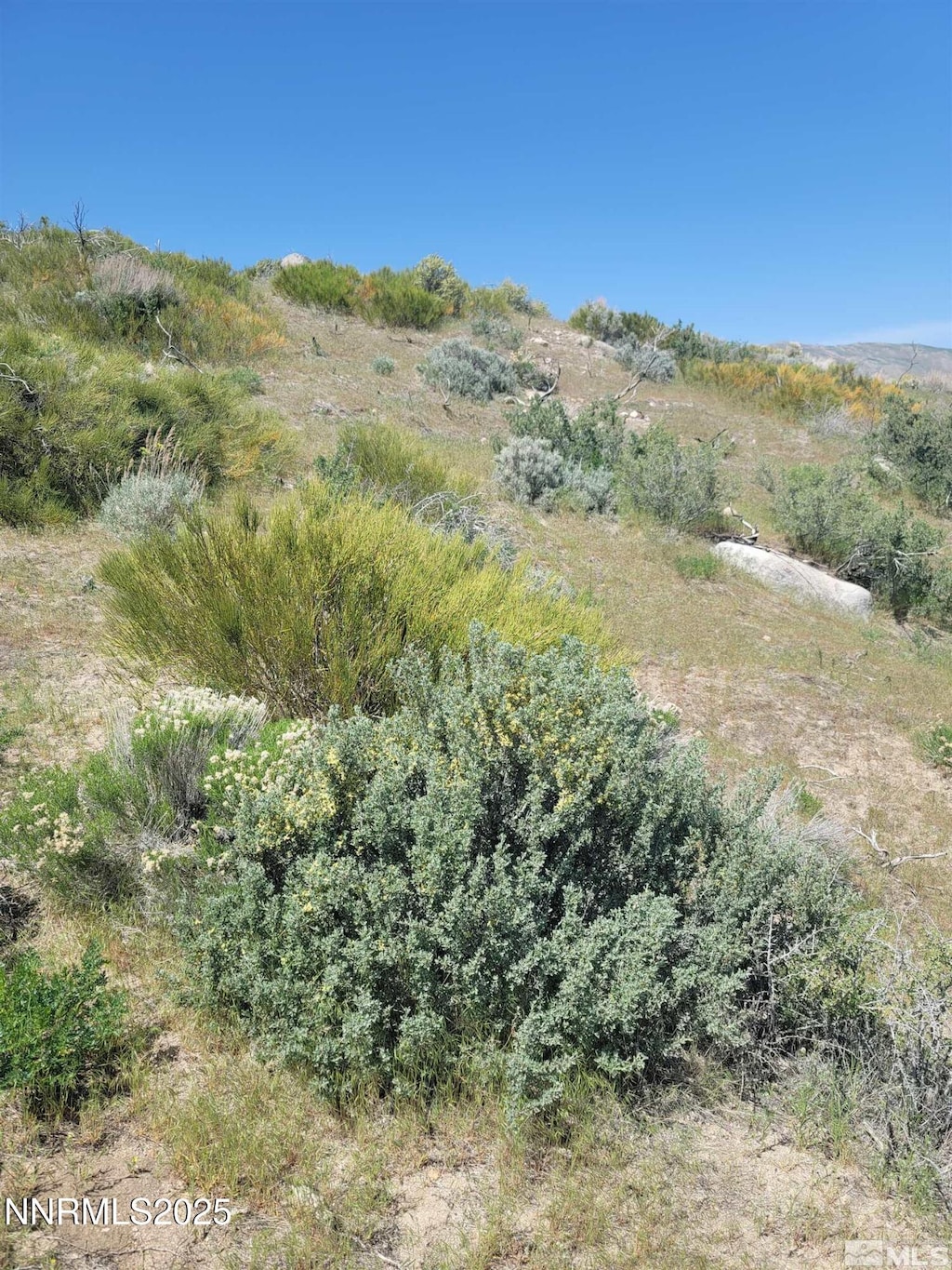 525 Prairie Dog, Reno, NV 89508 - photo 1