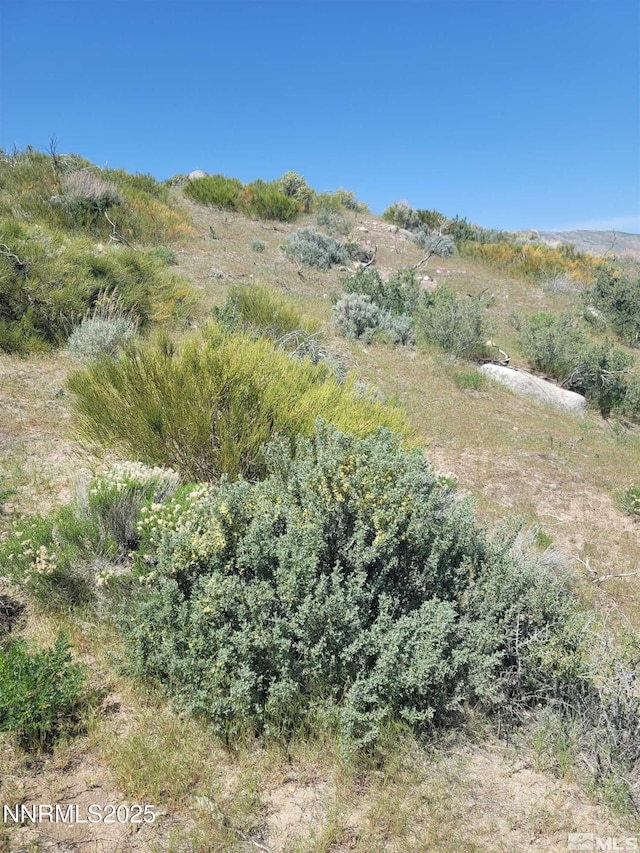 525 Prairie Dog, Reno, NV 89508 - photo 1