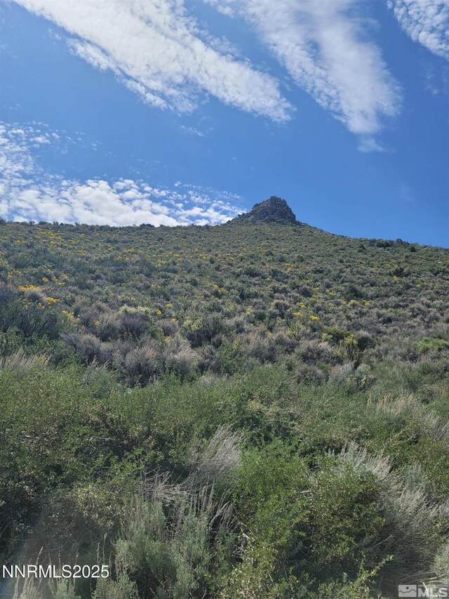 525 Prairie Dog, Reno, NV 89508 - photo 2