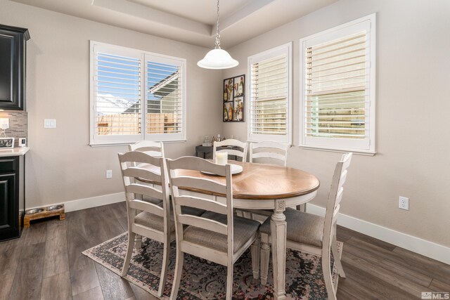 1230 W Cottage Loop, Gardnerville, NV 89460 - dining space featuring dark wood finished floors and a tray ceiling