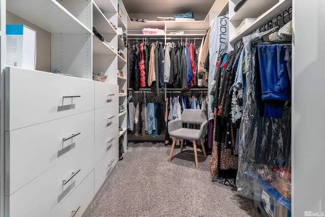 1230 W Cottage Loop, Gardnerville, NV 89460 - walk in closet with carpet flooring