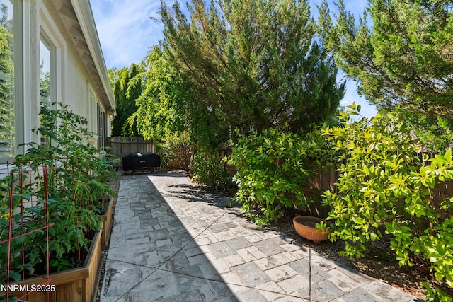 10095 Cascade Falls Dr, Reno, NV 89521 - photo 43