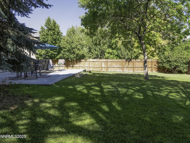 1755 Mizpah St, Winnemucca, NV 89445 - view of yard with a patio area