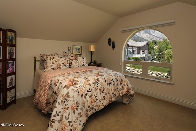 247 Genoa Peak Ct, Genoa, NV 89411 - photo 29
