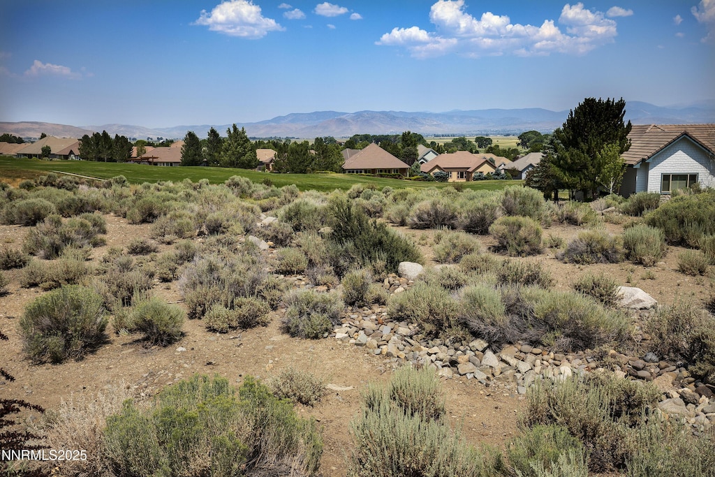 249 Genoa Peak Ct, Genoa, NV 89411 - photo 1
