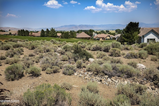 249 Genoa Peak Ct, Genoa, NV 89411 - photo 1