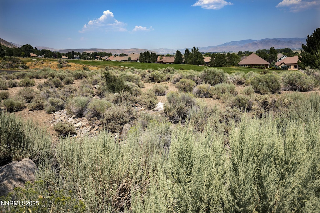 249 Genoa Peak Ct, Genoa, NV 89411 - photo 2