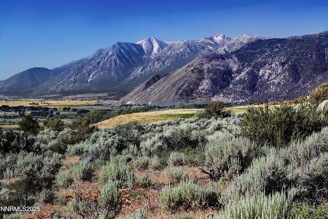 343 James Canyon Loop, Genoa, NV 89411 - photo 1