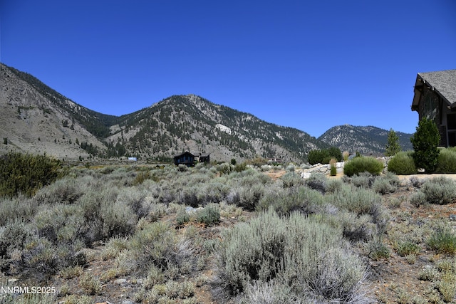 343 James Canyon Loop, Genoa, NV 89411 - photo 4