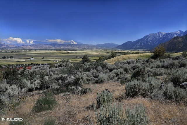 343 James Canyon Loop, Genoa, NV 89411 - photo 3