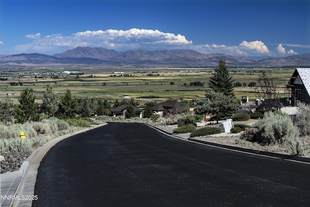 343 James Canyon Loop, Genoa, NV 89411 - photo 5
