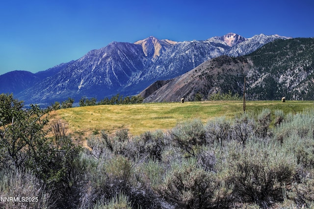 343 James Canyon Loop, Genoa, NV 89411 - photo 2