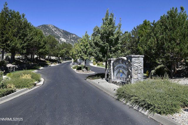 343 James Canyon Loop, Genoa, NV 89411 - photo 7
