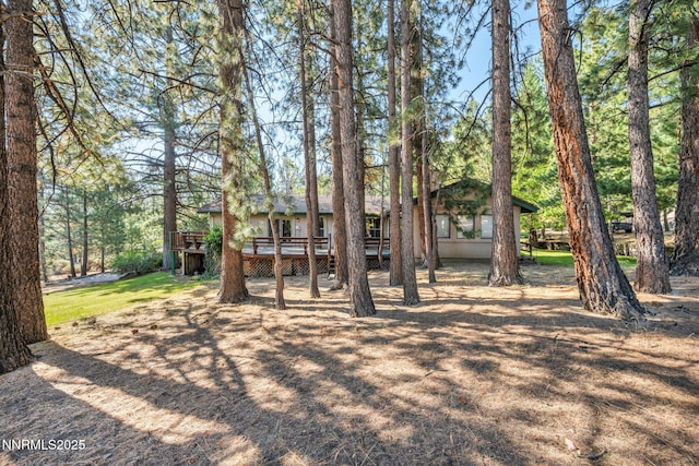 4300 Levi Gulch Rd, Carson City, NV 89703 - photo 80