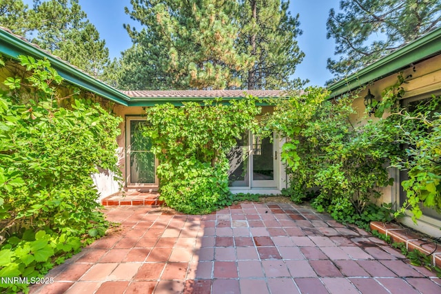 4300 Levi Gulch Rd, Carson City, NV 89703 - photo 6