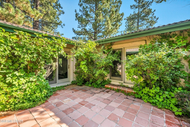 4300 Levi Gulch Rd, Carson City, NV 89703 - photo 7