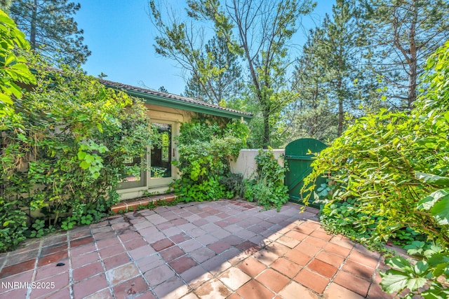 4300 Levi Gulch Rd, Carson City, NV 89703 - photo 8