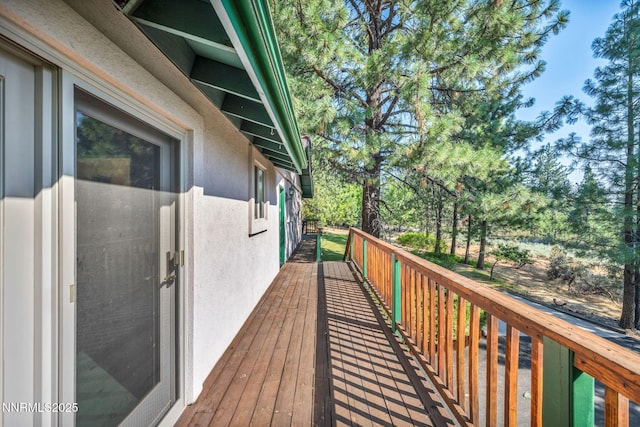 4300 Levi Gulch Rd, Carson City, NV 89703 - photo 64