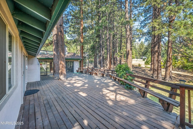 4300 Levi Gulch Rd, Carson City, NV 89703 - photo 58