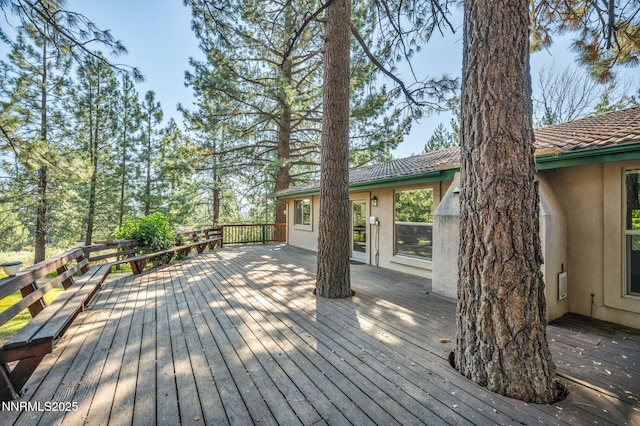4300 Levi Gulch Rd, Carson City, NV 89703 - photo 60