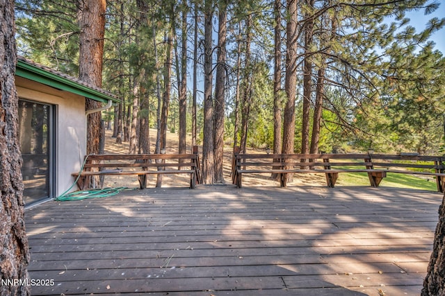 4300 Levi Gulch Rd, Carson City, NV 89703 - photo 62