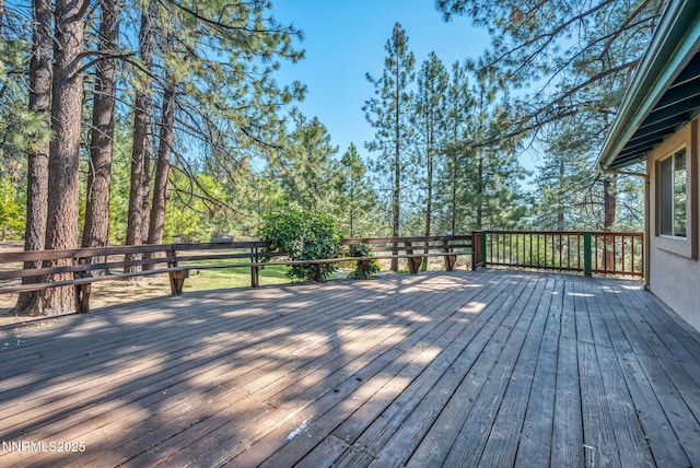 4300 Levi Gulch Rd, Carson City, NV 89703 - photo 63