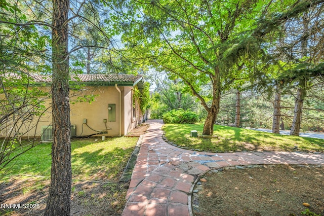 4300 Levi Gulch Rd, Carson City, NV 89703 - photo 74