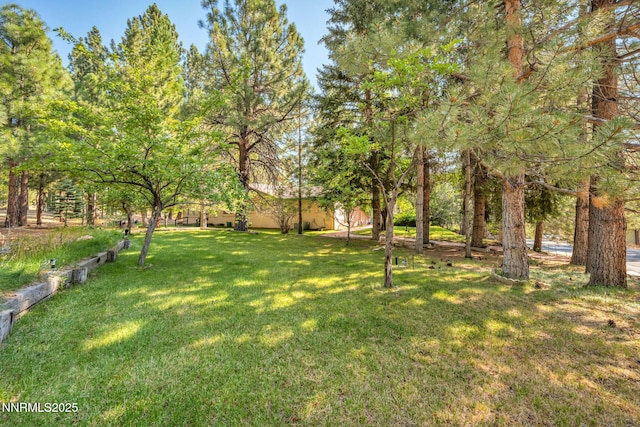 4300 Levi Gulch Rd, Carson City, NV 89703 - photo 75