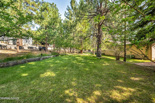 4300 Levi Gulch Rd, Carson City, NV 89703 - photo 76