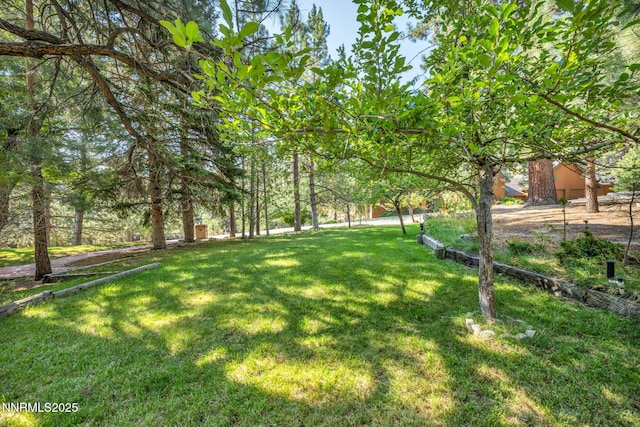 4300 Levi Gulch Rd, Carson City, NV 89703 - photo 77