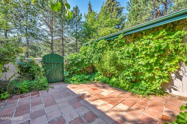4300 Levi Gulch Rd, Carson City, NV 89703 - photo 9