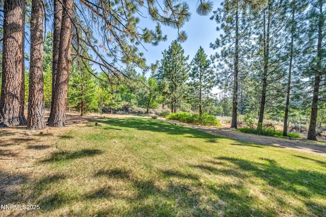 4300 Levi Gulch Rd, Carson City, NV 89703 - photo 78