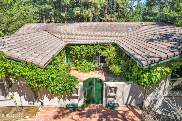 4300 Levi Gulch Rd, Carson City, NV 89703 - photo 4