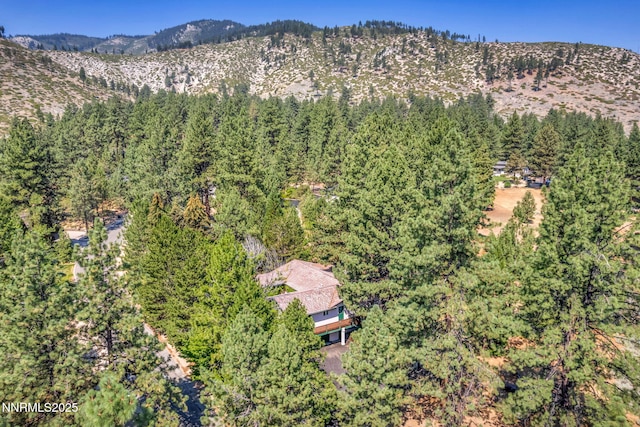 4300 Levi Gulch Rd, Carson City, NV 89703 - photo 86