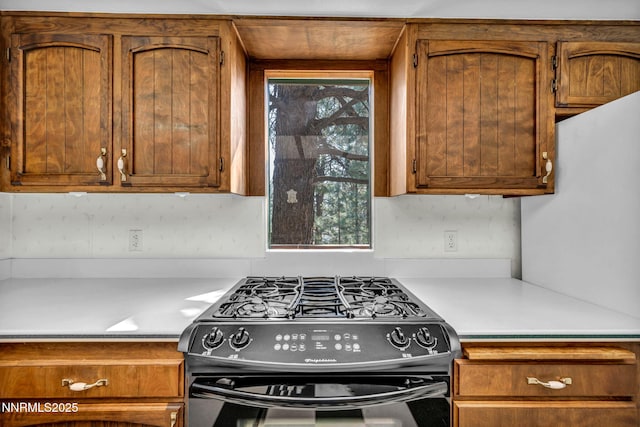 4300 Levi Gulch Rd, Carson City, NV 89703 - photo 33