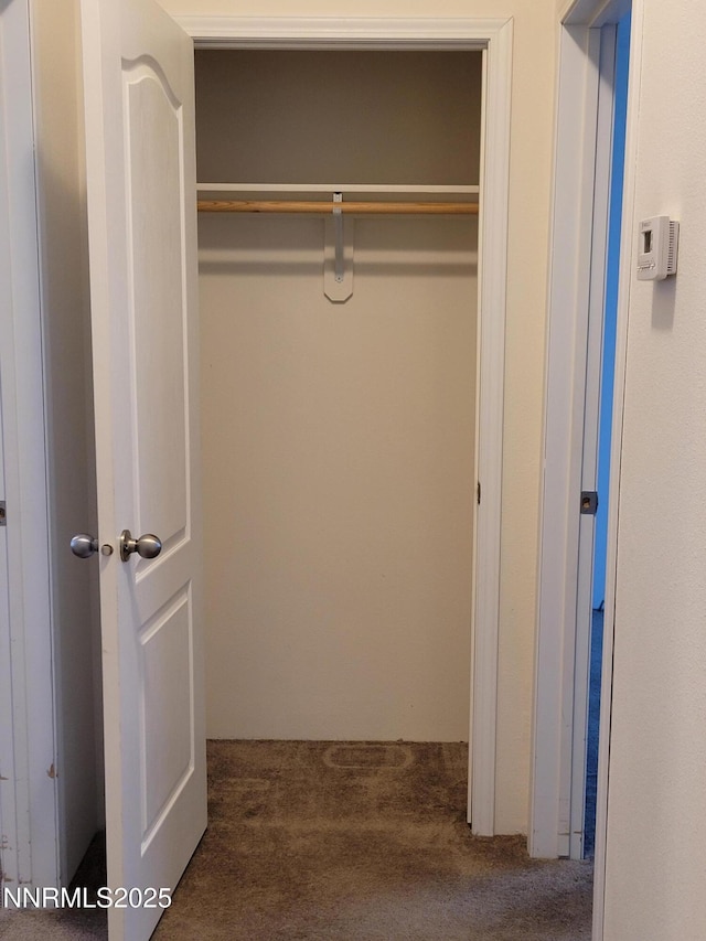 3340 Moon Ln, Winnemucca, NV 89445 - view of closet