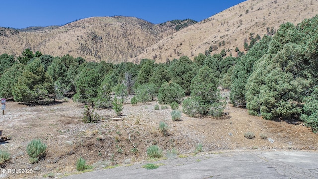 1520 Alba Vis Unit 48, Gardnerville, NV 89410 - photo 3