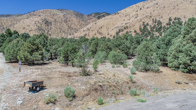 1520 Alba Vis Unit 48, Gardnerville, NV 89410 - photo 4