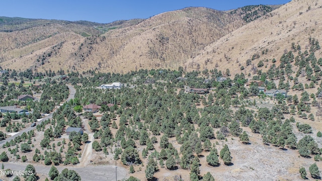 1520 Alba Vis Unit 48, Gardnerville, NV 89410 - photo 6