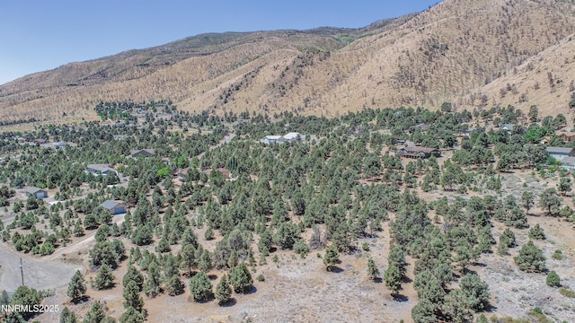 1520 Alba Vis Unit 48, Gardnerville, NV 89410 - photo 7