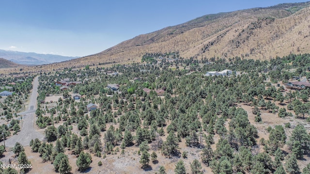 1520 Alba Vis Unit 48, Gardnerville, NV 89410 - photo 8