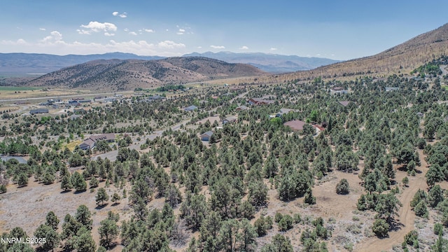 1520 Alba Vis Unit 48, Gardnerville, NV 89410 - photo 9