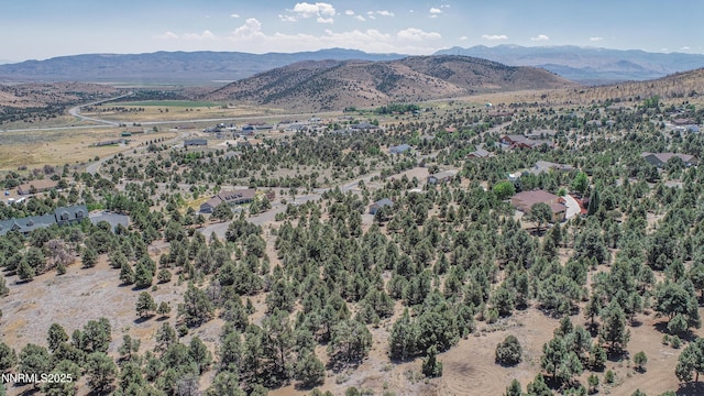 1520 Alba Vis Unit 48, Gardnerville, NV 89410 - photo 10
