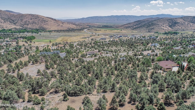 1520 Alba Vis Unit 48, Gardnerville, NV 89410 - photo 11