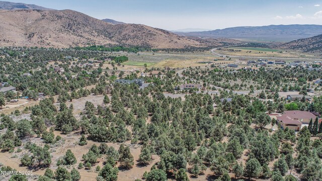1520 Alba Vis Unit 48, Gardnerville, NV 89410 - photo 12